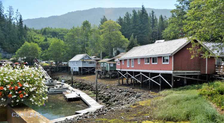 telegraph cove, the town